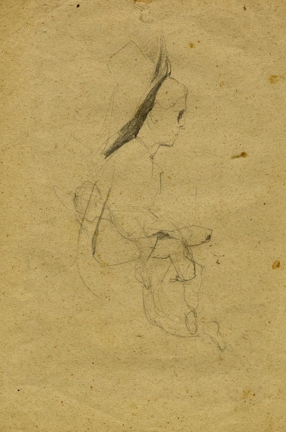 Ritratto di signora